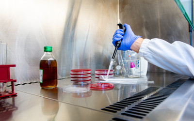 Sostanze pericolose e programmi di monitoraggio biologico
