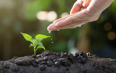 LCA - Valutazione del Ciclo di Vita: uno strumento strategico per le aziende