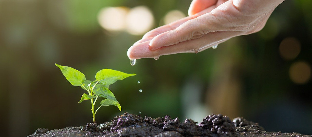 LCA - Valutazione del Ciclo di Vita: uno strumento strategico per le aziende