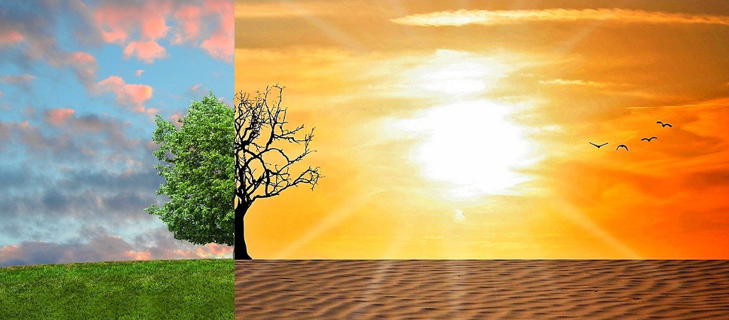 ​Decreto Ambiente: le novità per aziende e professionisti e come adeguarsi