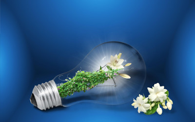 Bando impresa sostenibile 2025: un’opportunità concreta per le PMI che investono in energia e innovazione